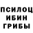 Псилоцибиновые грибы мухоморы Try 10/24/29.